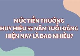 40 Năm Tuổi Đảng Được Bảo Nhiêu Tiền Một Tháng