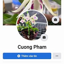 Cường Phạm Facebook