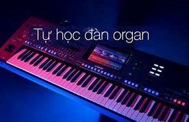 Tự Học Đàn Organ Cho Người Mới Bắt Đầu